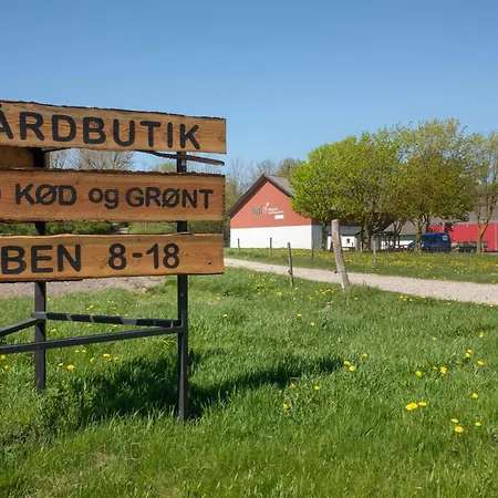 Stunning In With 6 Bedrooms And Wifi * Rønde